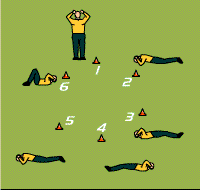 Gráfico de ejercicio Circuit of abdominals