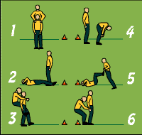 Gráfico de ejercicio Circuito de piernas por parejas