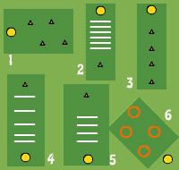 Gráfico de ejercicio Speed circuit