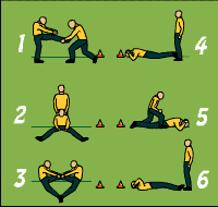 Gráfico de ejercicio Flexibility circuit in pairs