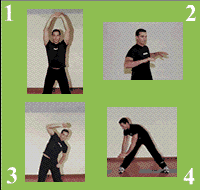 Gráfico de ejercicio Upper body warming up