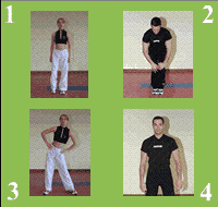 Gráfico de ejercicio General joint movility